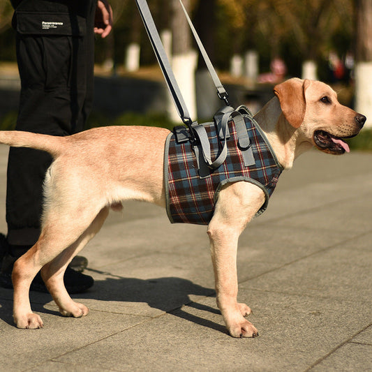 Orthopedic Dog Harness — Walking Aid for Front and Back Legs