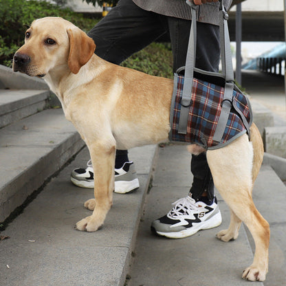 Orthopedic Dog Harness — Walking Aid for Front and Back Legs