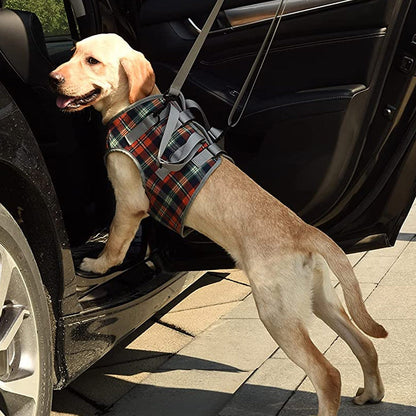 Orthopedic Dog Harness — Walking Aid for Front and Back Legs