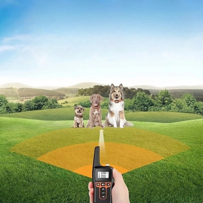 Dog Collar with Remote Control Up to 1,000 Meters — Finally, Relaxing Walks