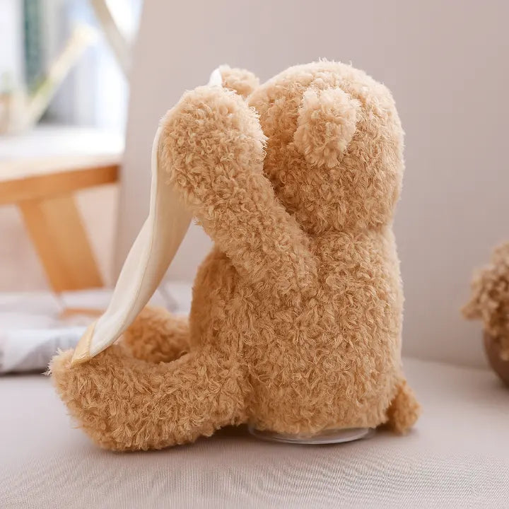 BuddyBear – The Peek-a-Boo Teddy Bear That Makes Your Baby Laugh Every Time