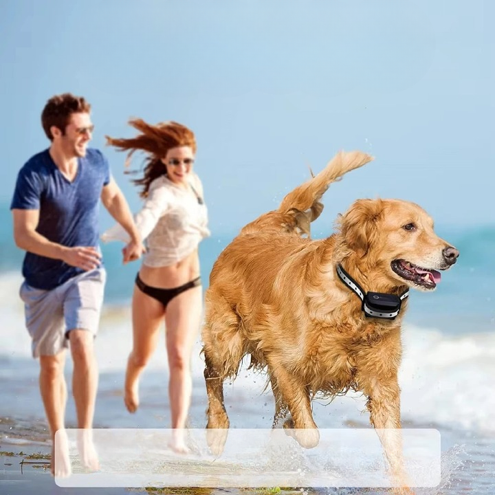 Dog Collar with Remote Control Up to 1,000 Meters — Finally, Relaxing Walks